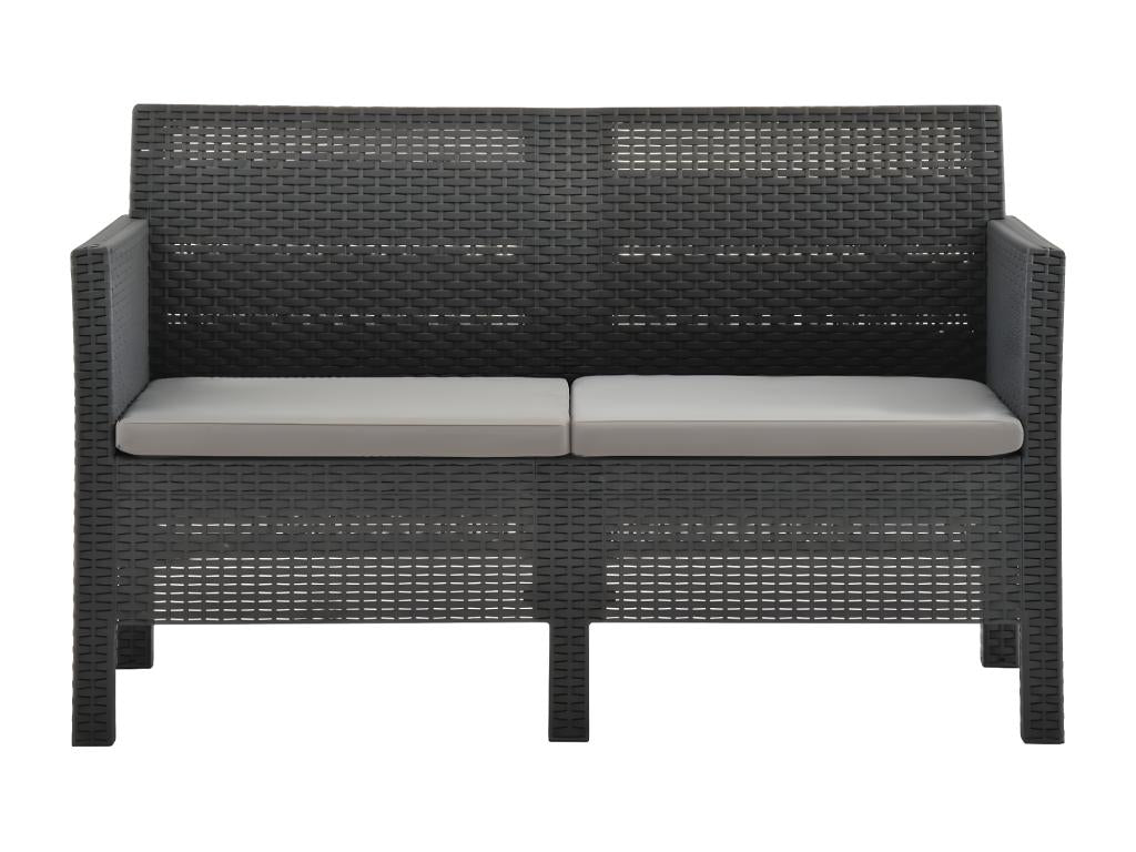 Canapé à 2 places de jardin avec coussins Anthracite PP Rotin 05149OXPW