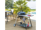Barbecue Charbon Homelumiere 112cm Noir